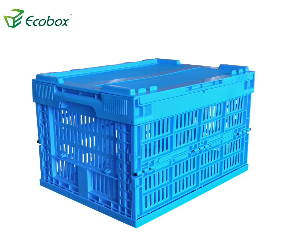 Caixa de acampamento dobrável dobrável de cor azul Ecobox 